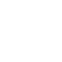 security icon